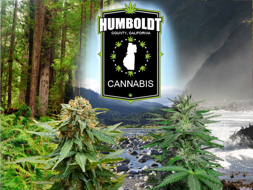 Humboldt County Cannabis